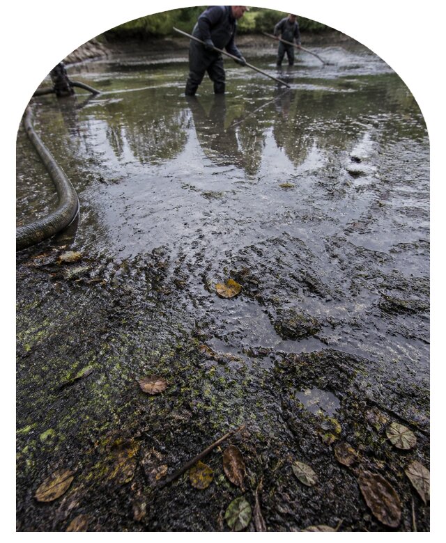 Очистка пруда в Серпухове от ила мусора и водорослей с вывозом